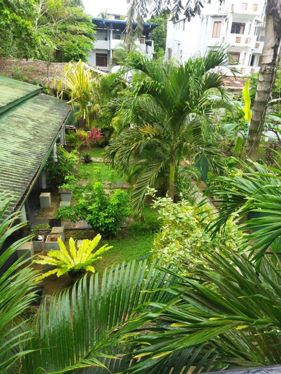 Lion Paradise Surf Beach Matara Esterno foto