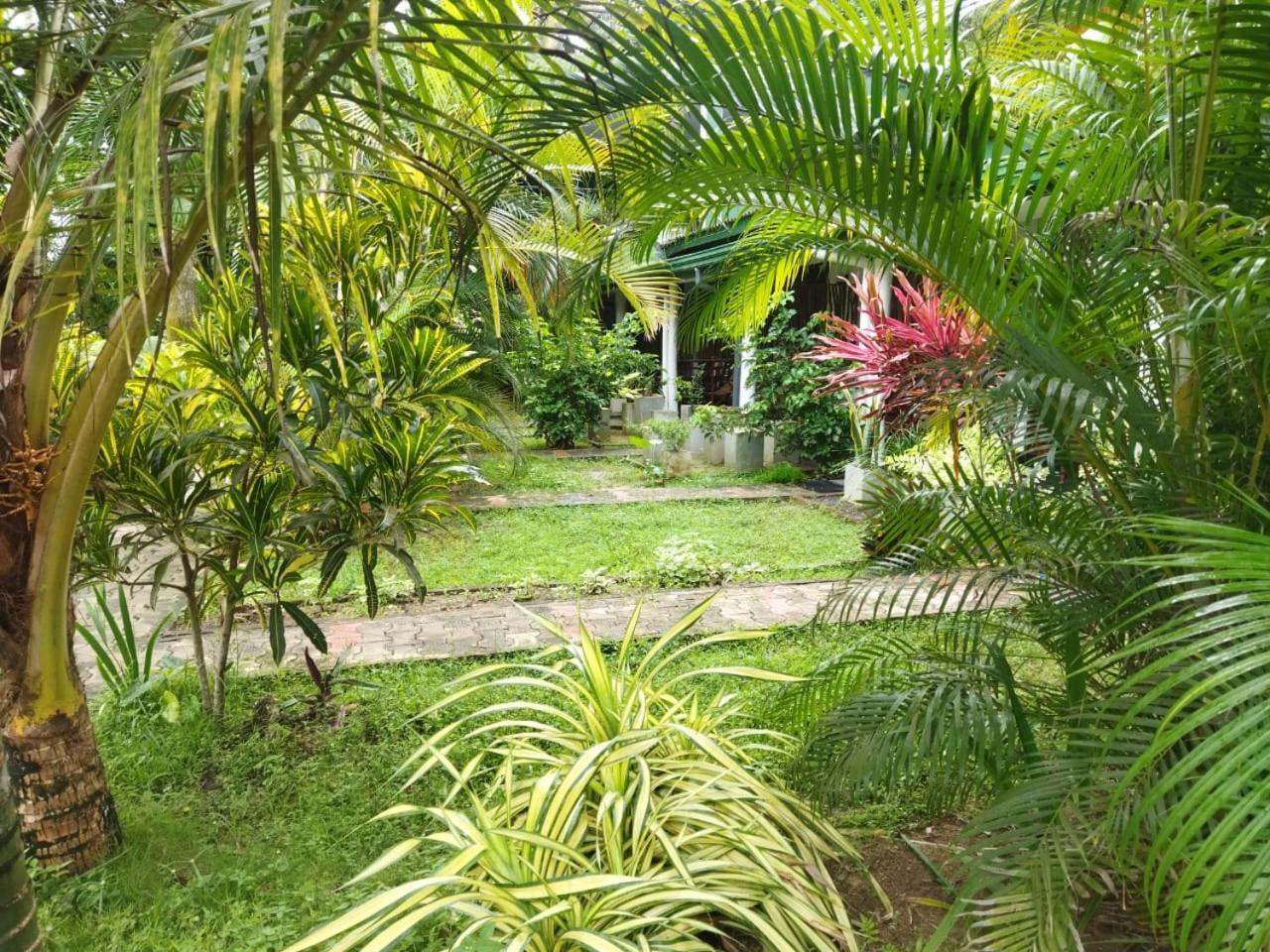 Lion Paradise Surf Beach Matara Esterno foto