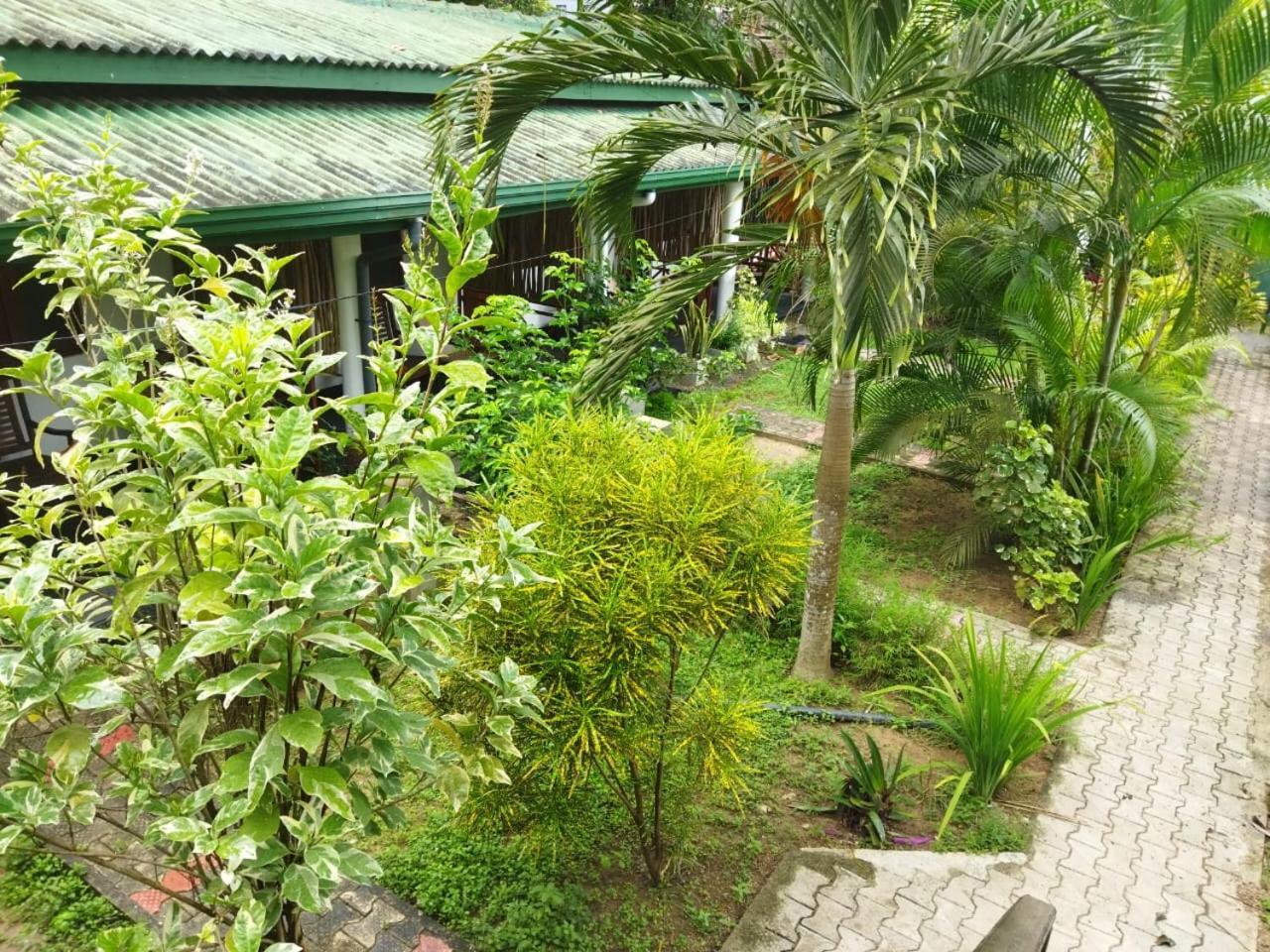 Lion Paradise Surf Beach Matara Esterno foto